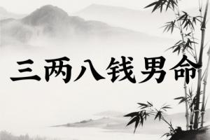 三两八钱男命详细解释一生