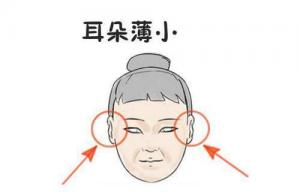 女人耳朵小的人命运怎么样