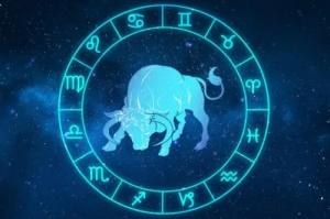 金牛座是土象星座吗