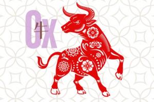 97年属牛住东户还是西户好