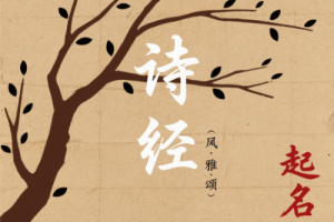 诗经楚辞起名女孩推荐