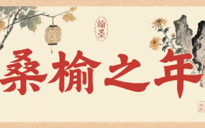 桑榆之年指多大年龄