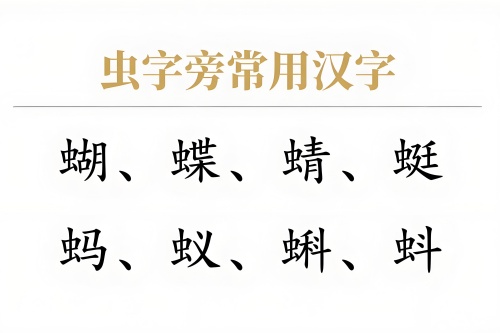 虫字旁的字有哪些