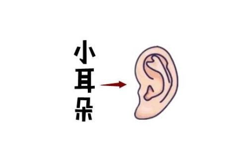 女人最命苦的五种耳朵