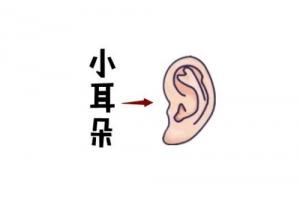 女人最命苦的五种耳朵