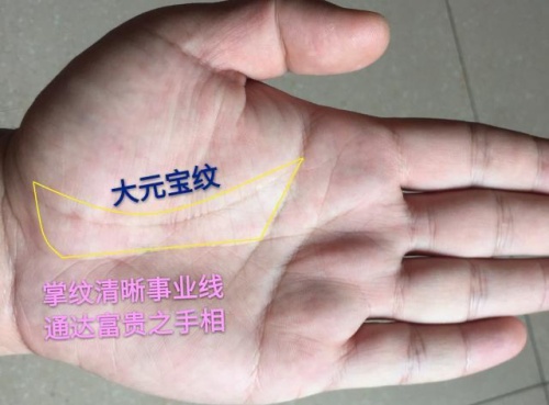 女人左手元宝纹暗示什么