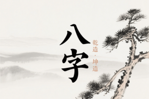 八字算名字可以算第二次名字吗