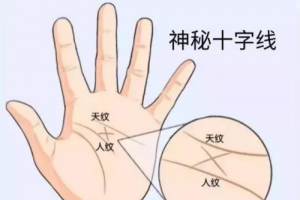 十字纹在手掌中心代表什么意思