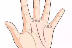 霸王线和三奇纹区别？