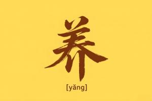 八字里养是什么意思