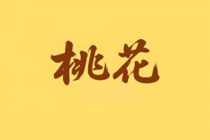 八字里桃花代表什么意思