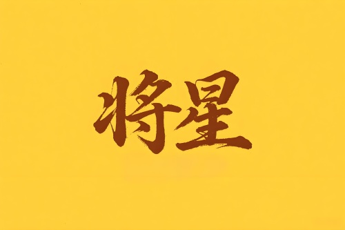 八字里将星是什么意思