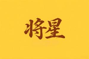 八字里将星是什么意思