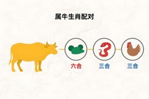 属牛的三合和六个合生肖是什么