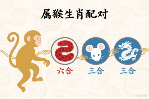 属猴的三合和六个合生肖是什么