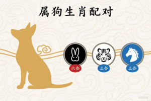 属狗的三合和六个合生肖是什么