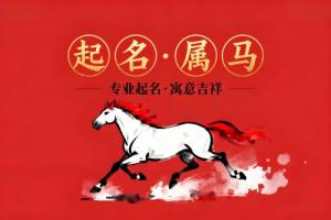 属马男孩取名字寓意好的字