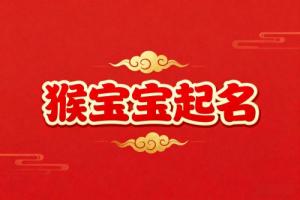 属猴一生最吉利的名字