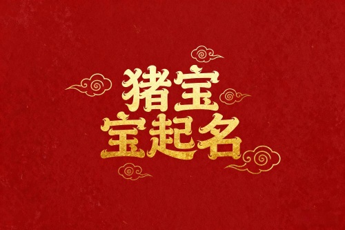 属猪最旺的名字大全