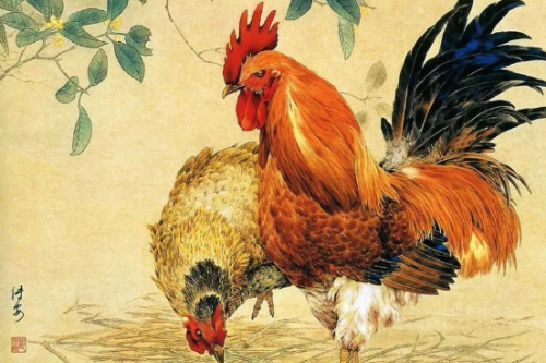 属鸡的最佳婚配和最忌婚配