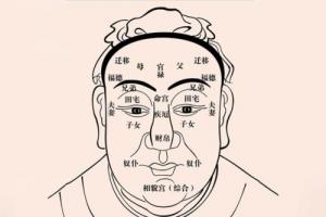 面相入门基础知识，面相学入门知识大全！