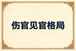 伤官见官为祸百端是什么意思