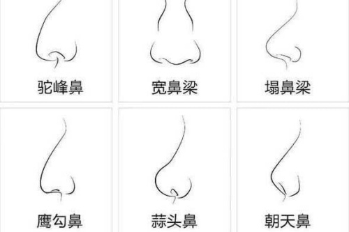 面相中鼻子代表什么