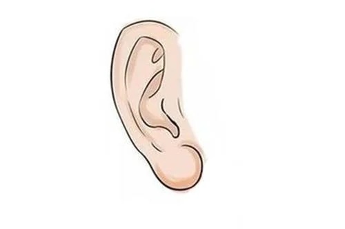 面相中耳朵代表什么意思