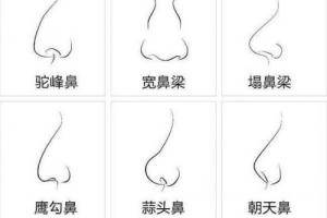 面相中鼻子代表什么