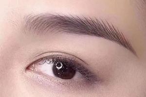 面相中眉毛杂乱代表什么