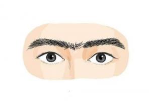 眉毛相连的男人怎么样
