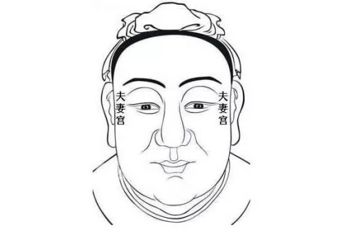 面相中夫妻宫在哪里