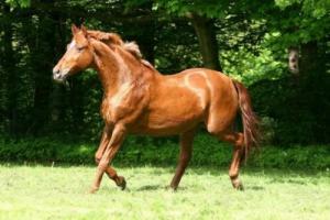 十马九苦,哪个月份最苦