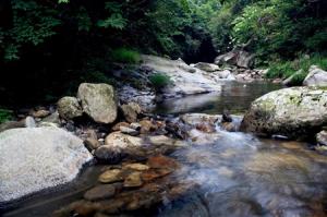 涧下水命的男孩最佳配偶