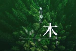 五行属木的饰品有哪些