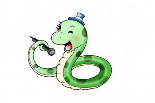 属蛇的人适合戴什么 属蛇的人适合戴什么