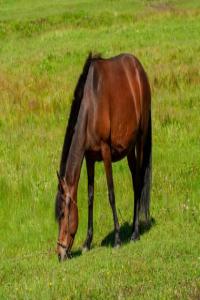 2026马年贵人运势详解