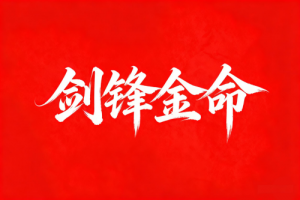 剑锋金的婚姻最终归宿