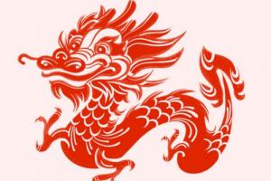 属龙的人晚年什么命运