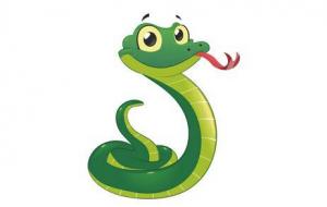 属蛇的人晚年命运怎么样