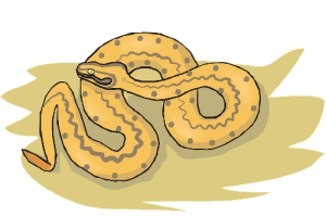 属蛇人2026年每月运势及全年运程