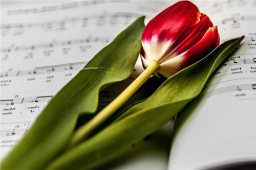 2026年喜事临门的生肖