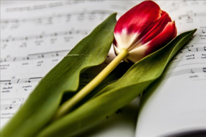 2026年喜事临门的生肖