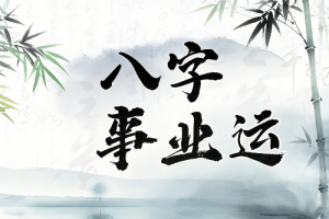 女命进政府工作的八字