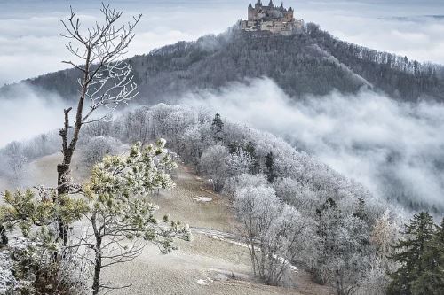 2026正缘红鸾星动的日柱