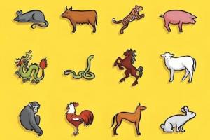 2026年运程最好的六个生肖