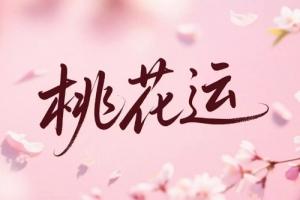 87年属兔桃花运最旺是哪一年