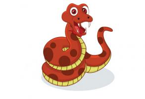 属蛇不能戴的三样东西有哪些