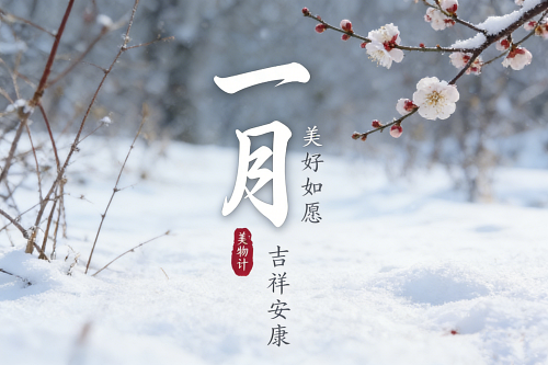 一月出生是什么星座