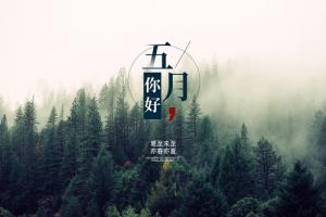 农历五月出生的人是什么命